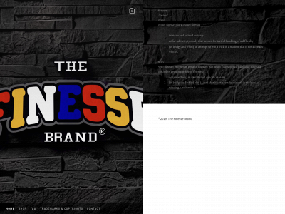 finessebrand.co snapshot