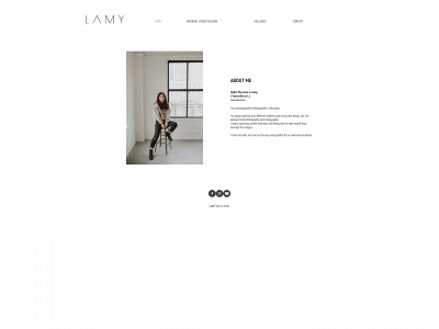 lamynk.com snapshot