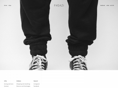 fvgazi.com snapshot