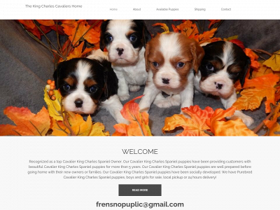 thecavalierkingcharles.com snapshot