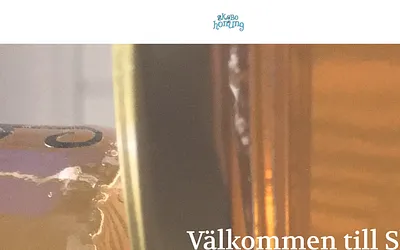 skebohonung.se snapshot