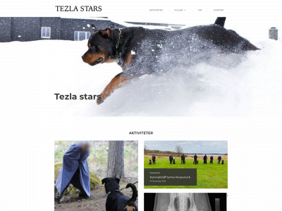 tezlastars.se snapshot