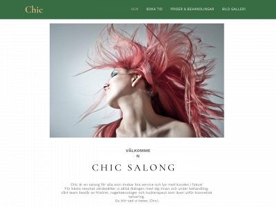 chicsalong.se snapshot