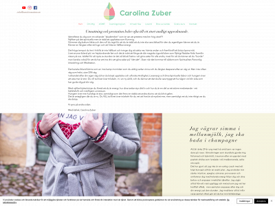 carolinazuber.se snapshot