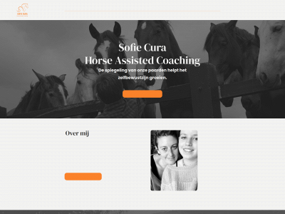 sofiecuracoaching.com snapshot