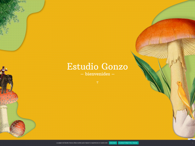 estudiogonzo.com snapshot