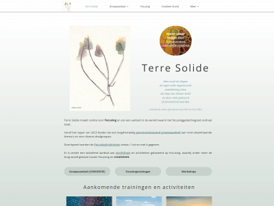 terresolide.be snapshot