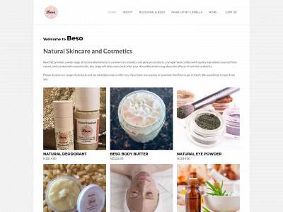 www.beso.co.nz snapshot