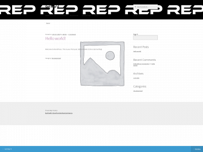 repd.store snapshot