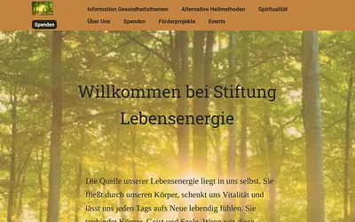 stiftung-lebensenergie.de snapshot