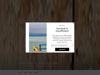 survival-is-insufficient.com snapshot