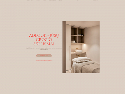 adlook.lt snapshot