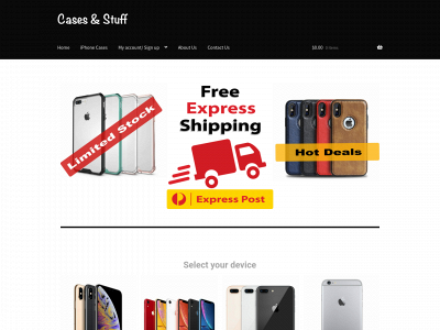 casesandstuff.com snapshot