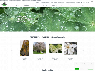 trakumedelynas.lt snapshot