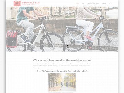 ebikeforfun.com snapshot