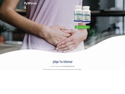 pylomax.com snapshot