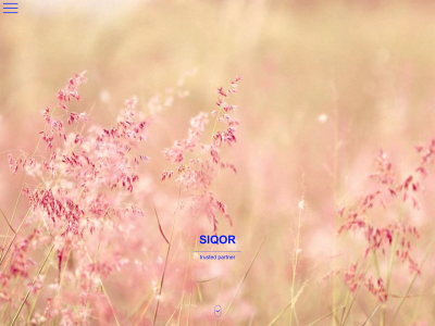 siqor.com snapshot