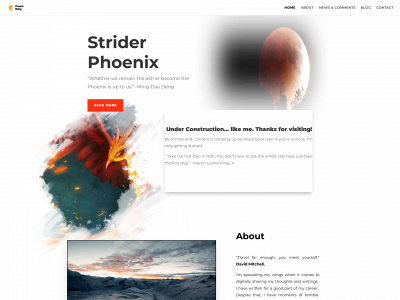 striderphoenix.com snapshot