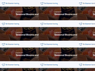 mijntestkoning.nl snapshot