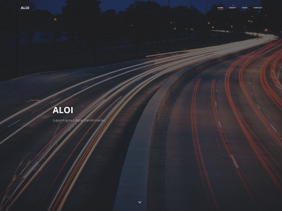 aloiservices.com snapshot