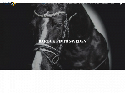 barockpintosweden.com snapshot