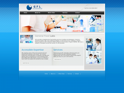 generalfoodlabs.com snapshot