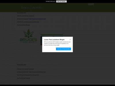 brucescbdoils.com snapshot