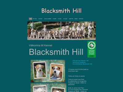 blacksmithhill.se snapshot