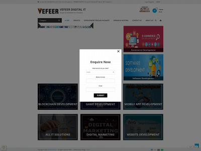 www.vefeer.com snapshot
