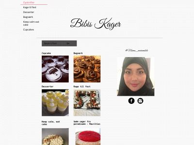 bibiskager.dk snapshot