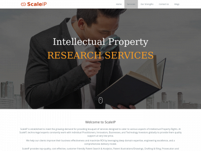 scaleip.com snapshot