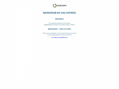 mariewium.dk snapshot