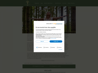 enklasinnen.se snapshot