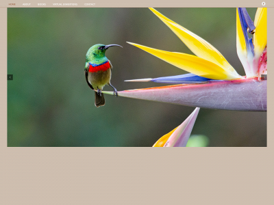 photogallery.lt snapshot