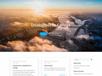 disabilitiestocollege.com snapshot