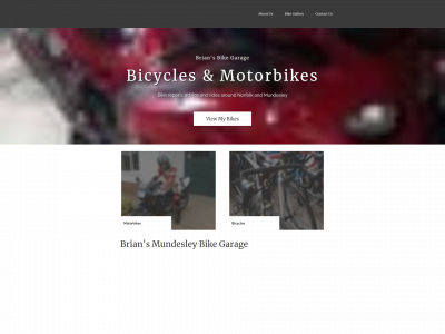briansbikegarage.co.uk snapshot