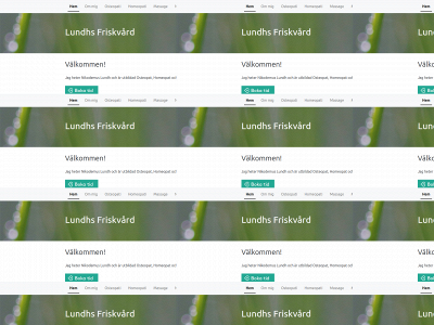 lundhsfriskvard.se snapshot