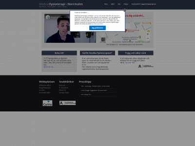 fysioterapiteamet.se snapshot