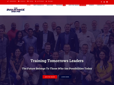 theinsurancesquad.com snapshot