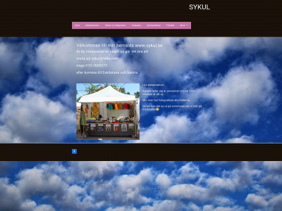 sykul.se snapshot