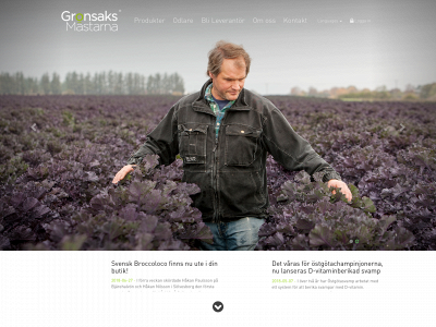 sjovallfood.se snapshot