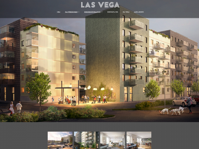 brflasvega.se snapshot