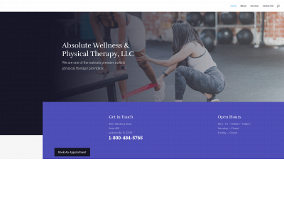 absolutewellnesspt.com snapshot
