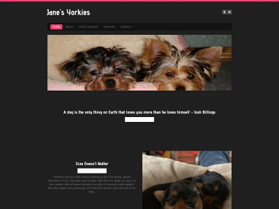 janesyorkies.com snapshot