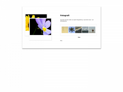 gallin.se snapshot