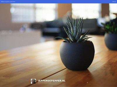 jepperdepepper.nl snapshot