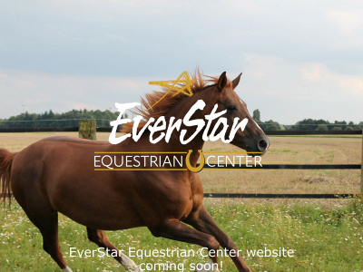 everstarequestrian.com snapshot