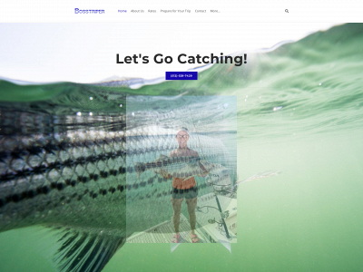 www.bosstriper.com snapshot
