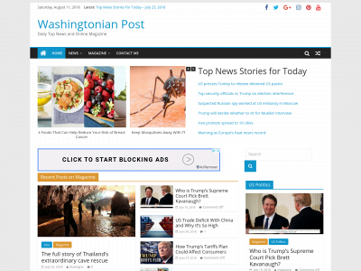 washingtonianpost.com snapshot