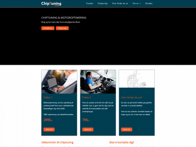 chiptuning.live snapshot